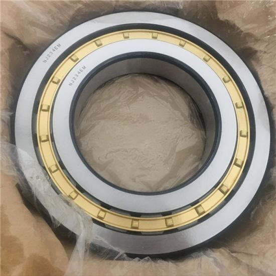 NJ203 Bearings